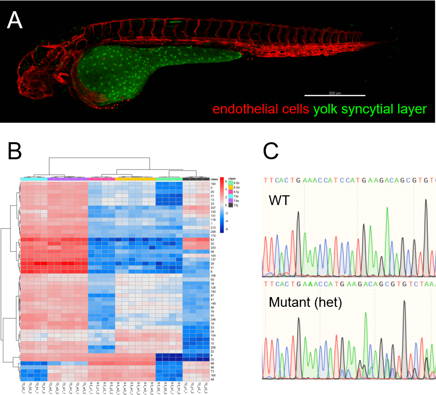 Dr. Dai, research snapshot for BIOS2023